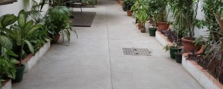 Sivananda Yoga, Zuid-Delhi