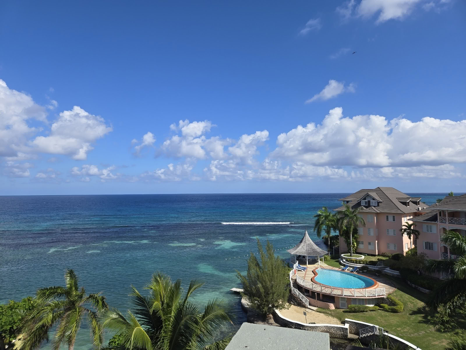 Mycelia-retreat Jamaica