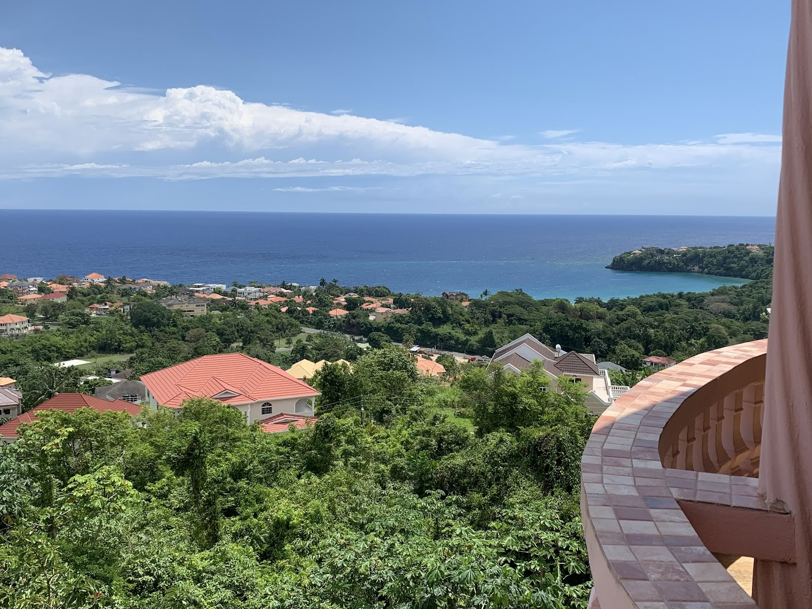 Mycelia-retreat Jamaica