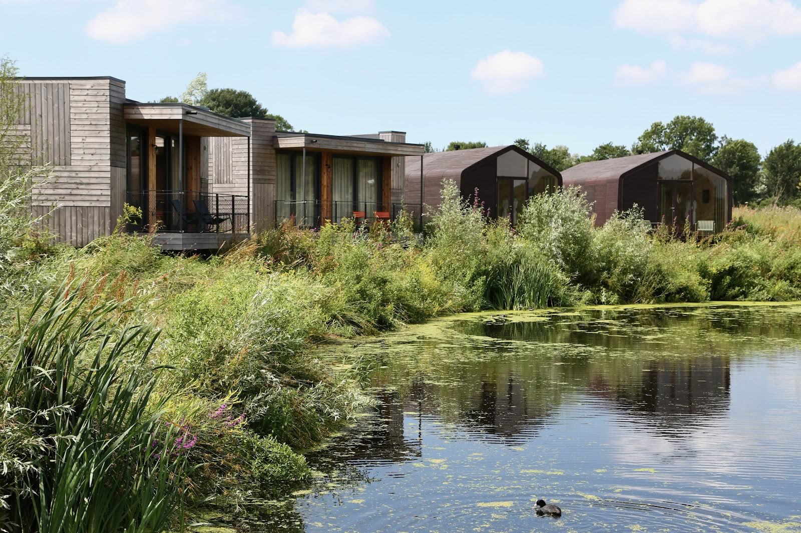 Basecamp Amsterdam