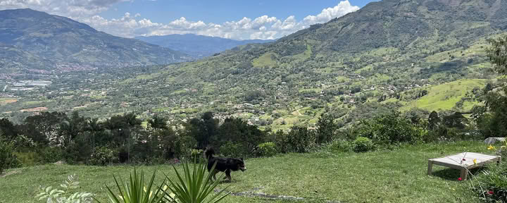 Harmonica Ayahuasca Retraite Colombia (voorheen Guacamayo)