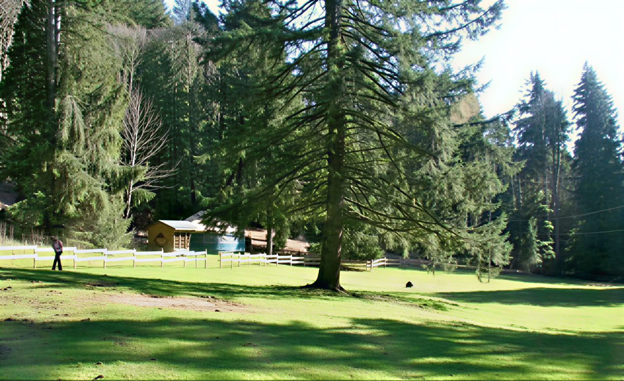 Xenia Retreatcentrum