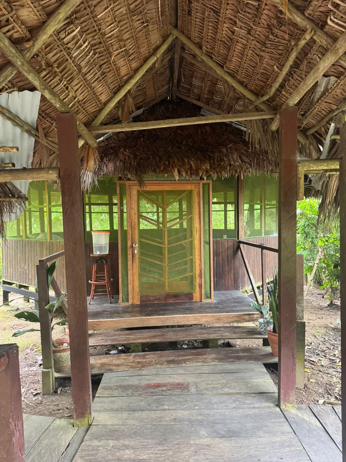 Vuurtoren! Ayahuasca-retreat
