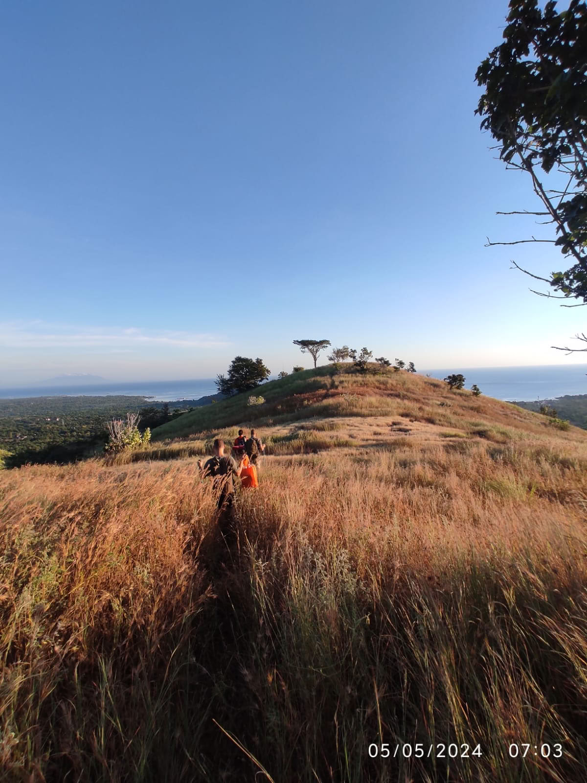 Alaya Ecolodge