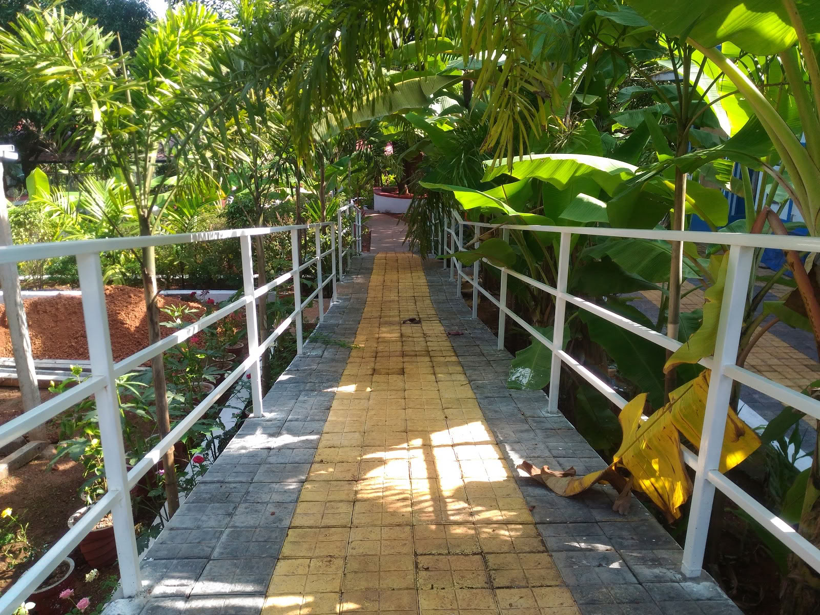 Preksha-yoga