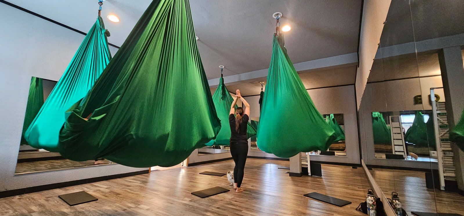 Pure Yoga