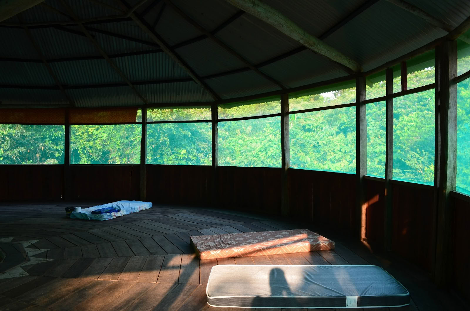 Officieel Selva Madre Ayahuasca Retreat Iquitos Peru