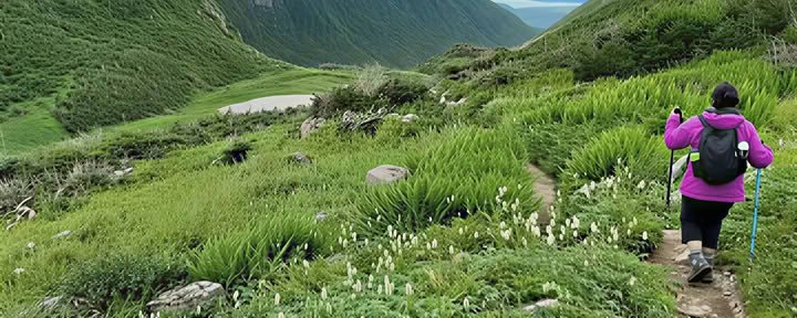 Transform Gros Morne-retraites