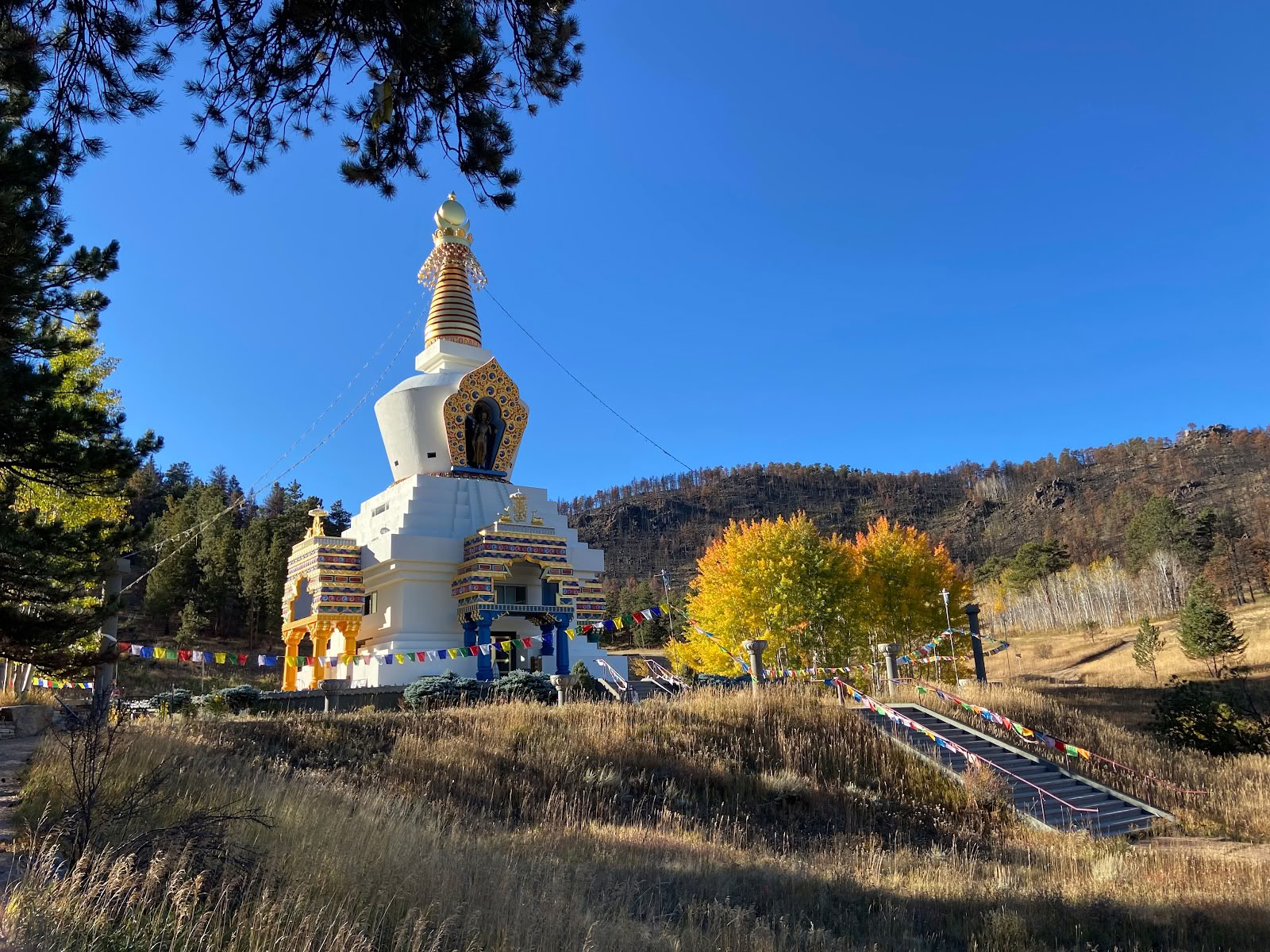 Drala Mountain Center