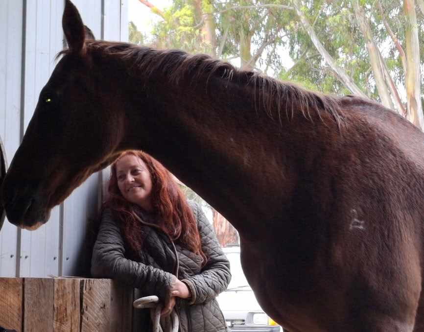 Hart van het Paard - Werken met paarden die mensen helpen genezen