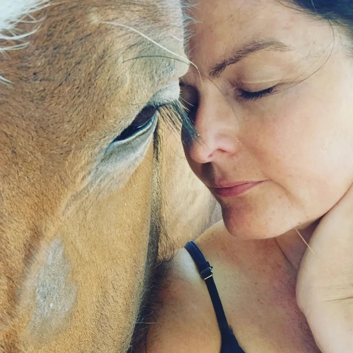 Hart van het Paard - Werken met paarden die mensen helpen genezen