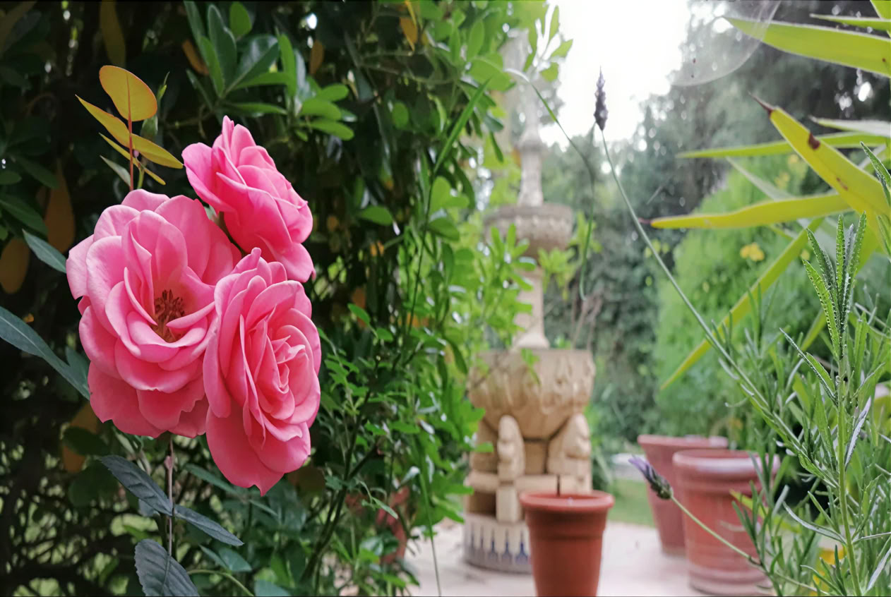 Casa Colibrí (holistische gezondheid)