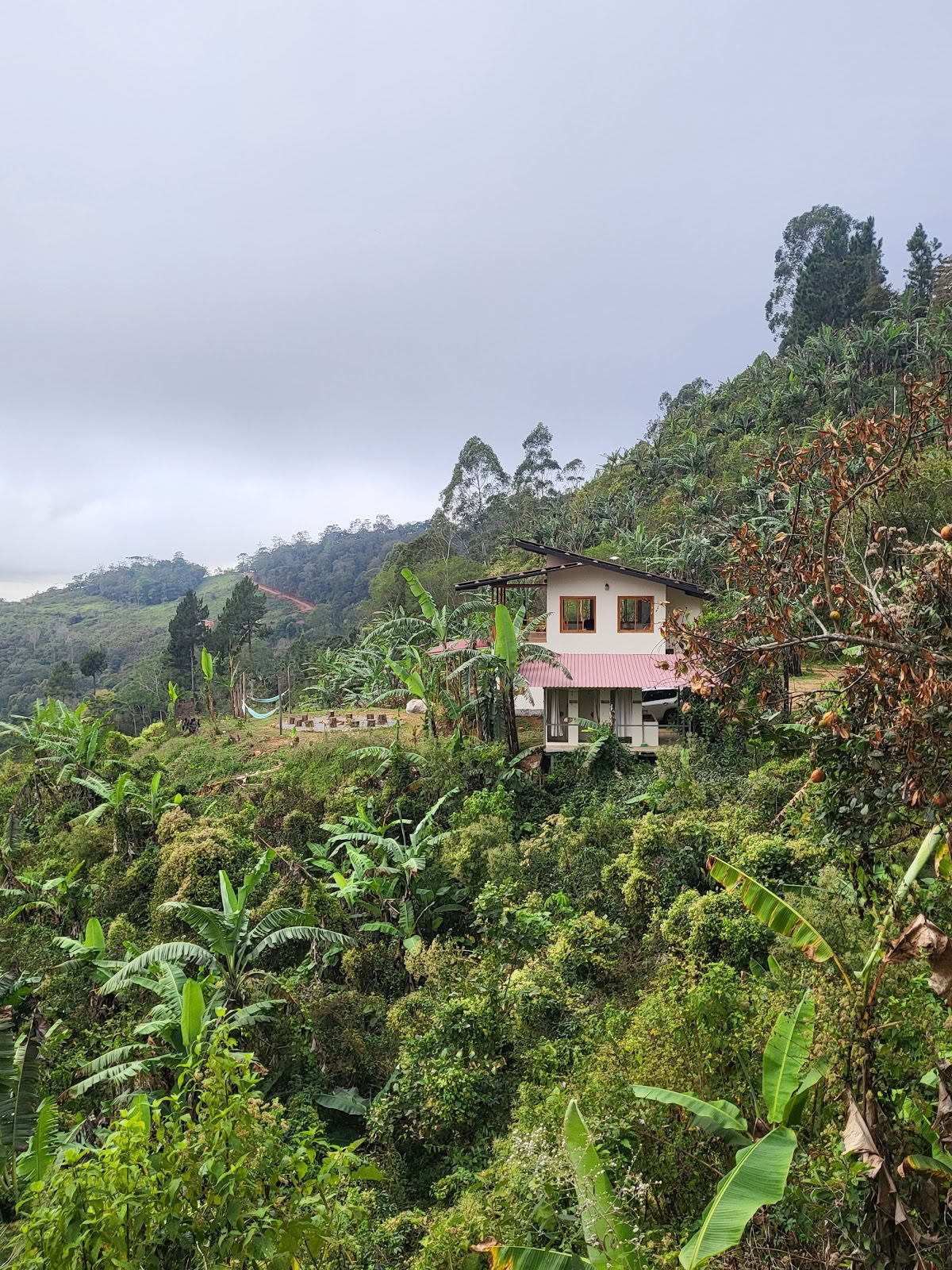 Nueva Vida Retreats
