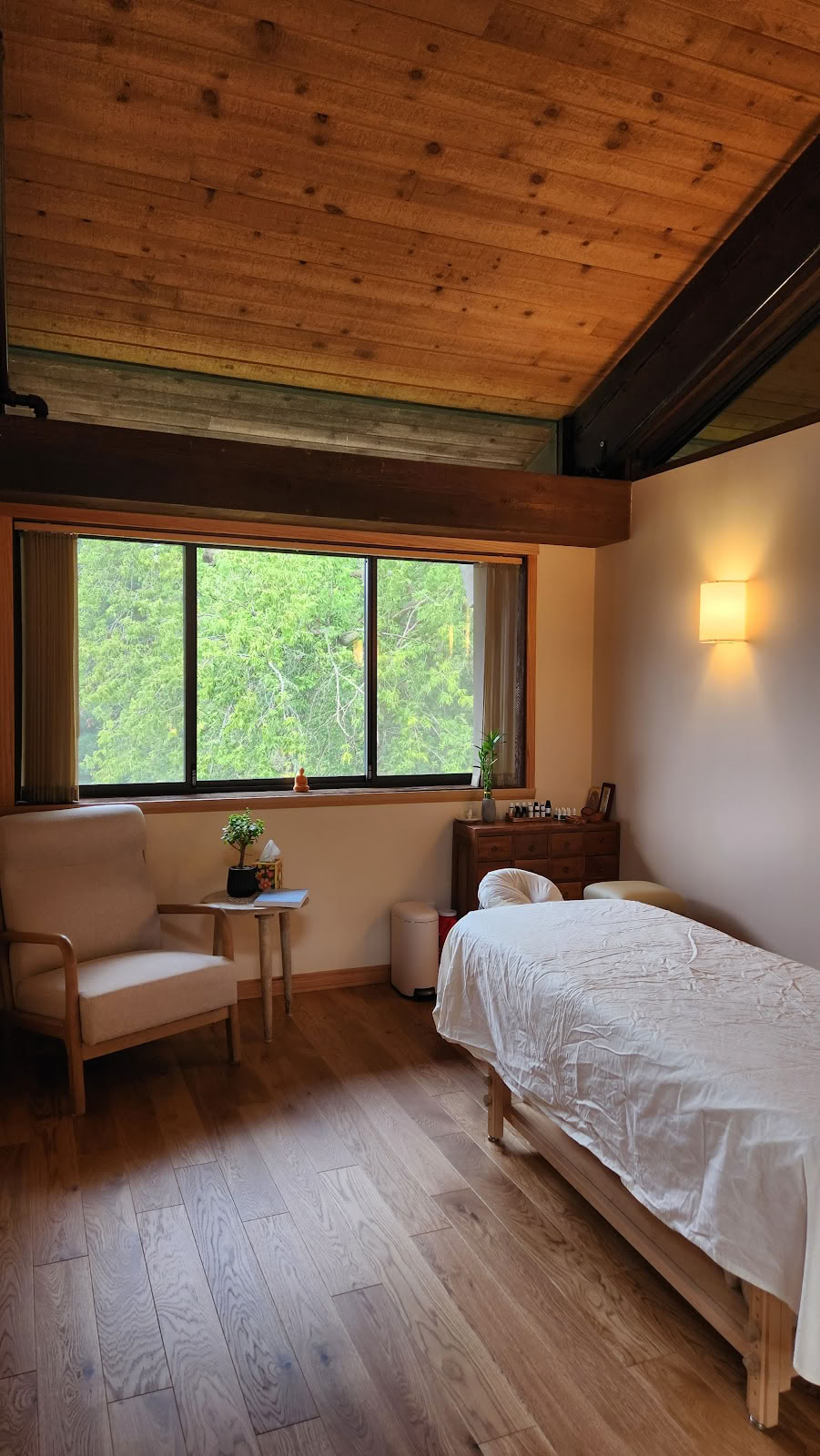 Camino Wellness Center | Acupunctuur & Meditatie