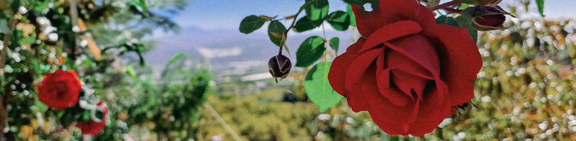 Finca Putumayo