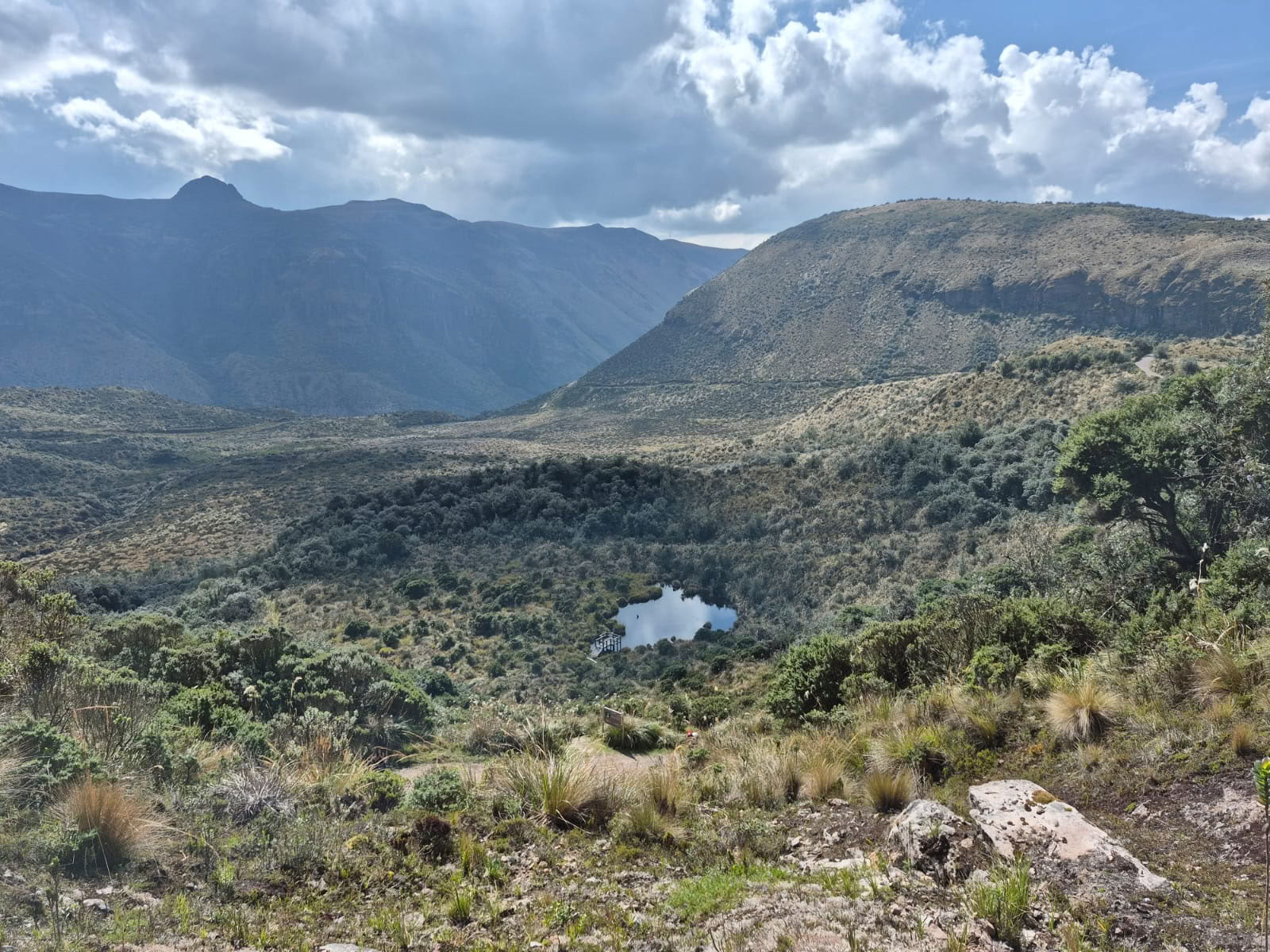 Harmony Retreats Ecuador