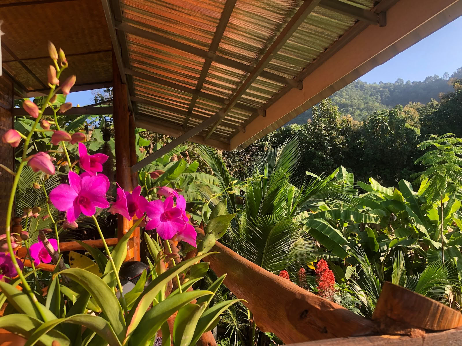 Ware Natuur Chiang Mai - Yoga- en Meditatieverblijf Retreat