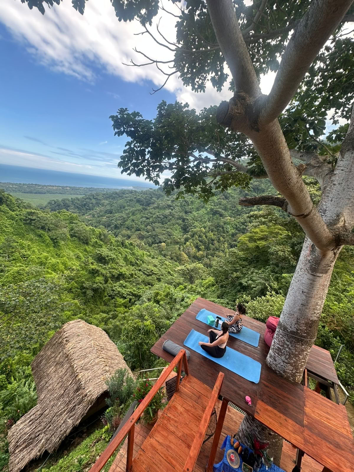 Ahimsa Yogaschool