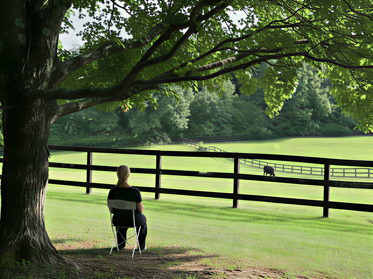 Stel je Equus Farm voor