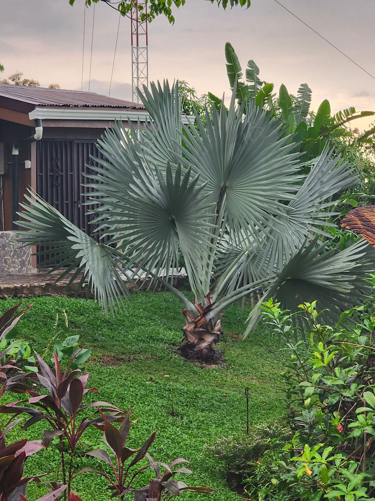 Villa Inti Wasi