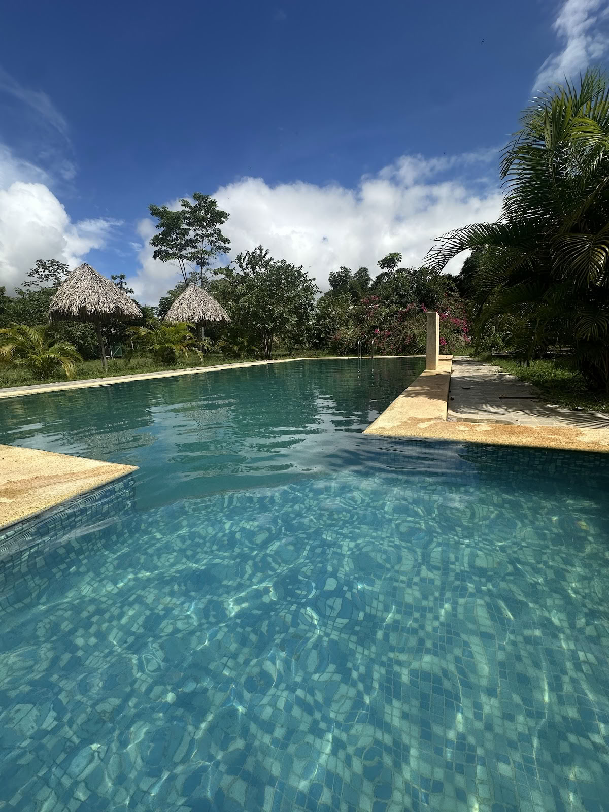 Ayahuasca Spiritcentrum