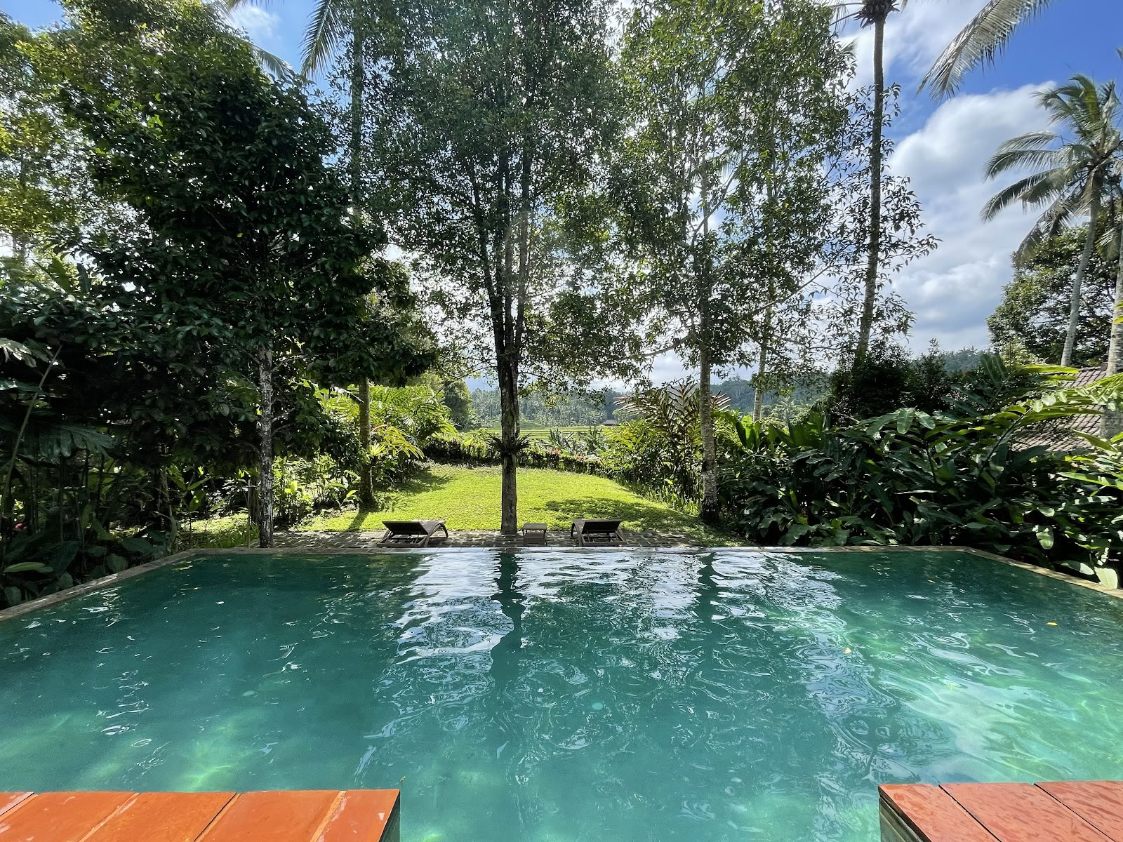Kruidnagelboomheuvel - Bali Eco Resort