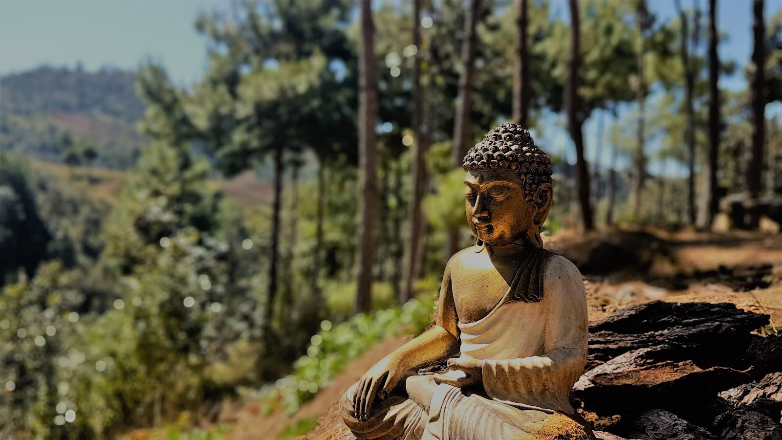 Hridaya Familie Meditatie- & Yogaretreatcentrum