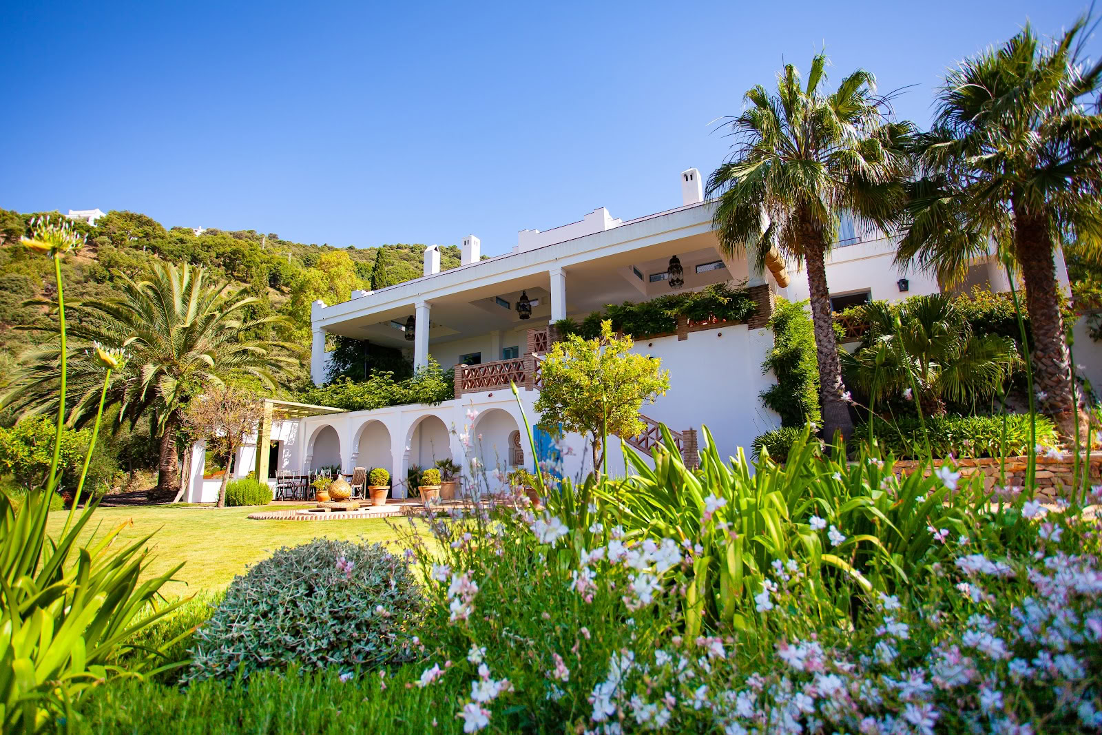 Finca Avedin