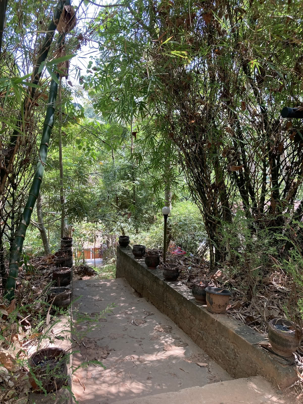 Agnihotra Yogaretreat