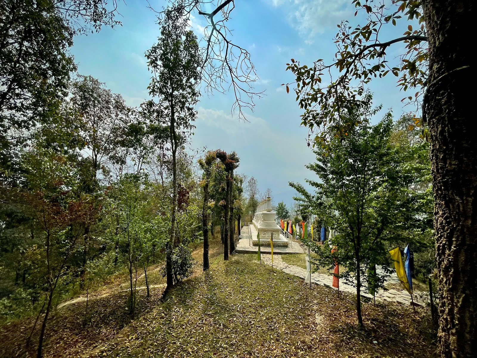 Boeddha Pada Centrum