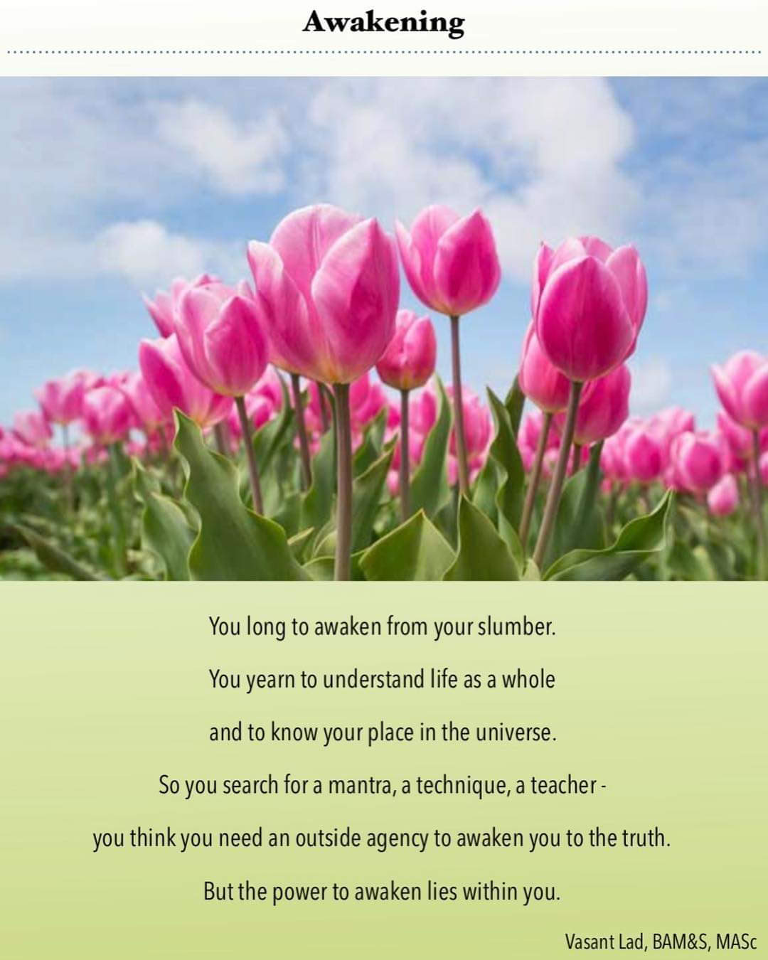 Omarm Ayurveda