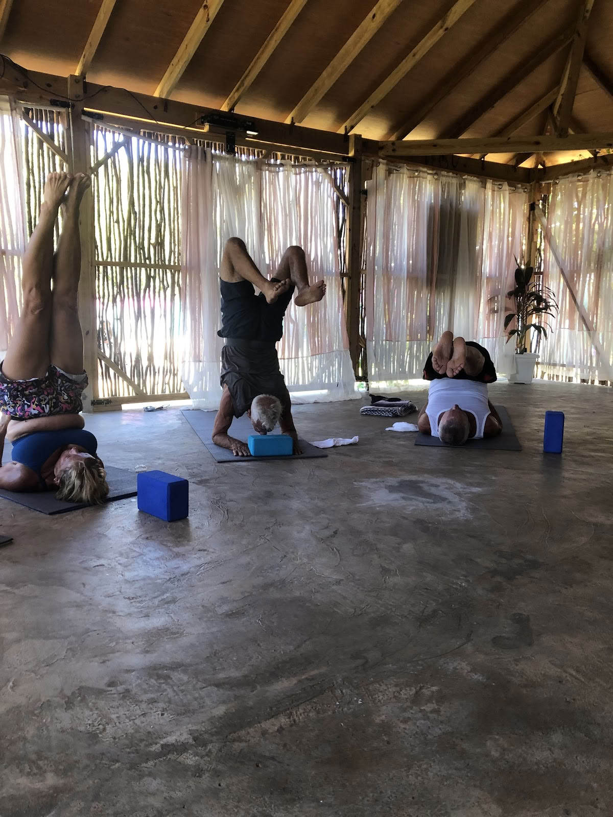 Wise Wellness - Yogacentrum / Day Spa en iTal Mama Vegan Café