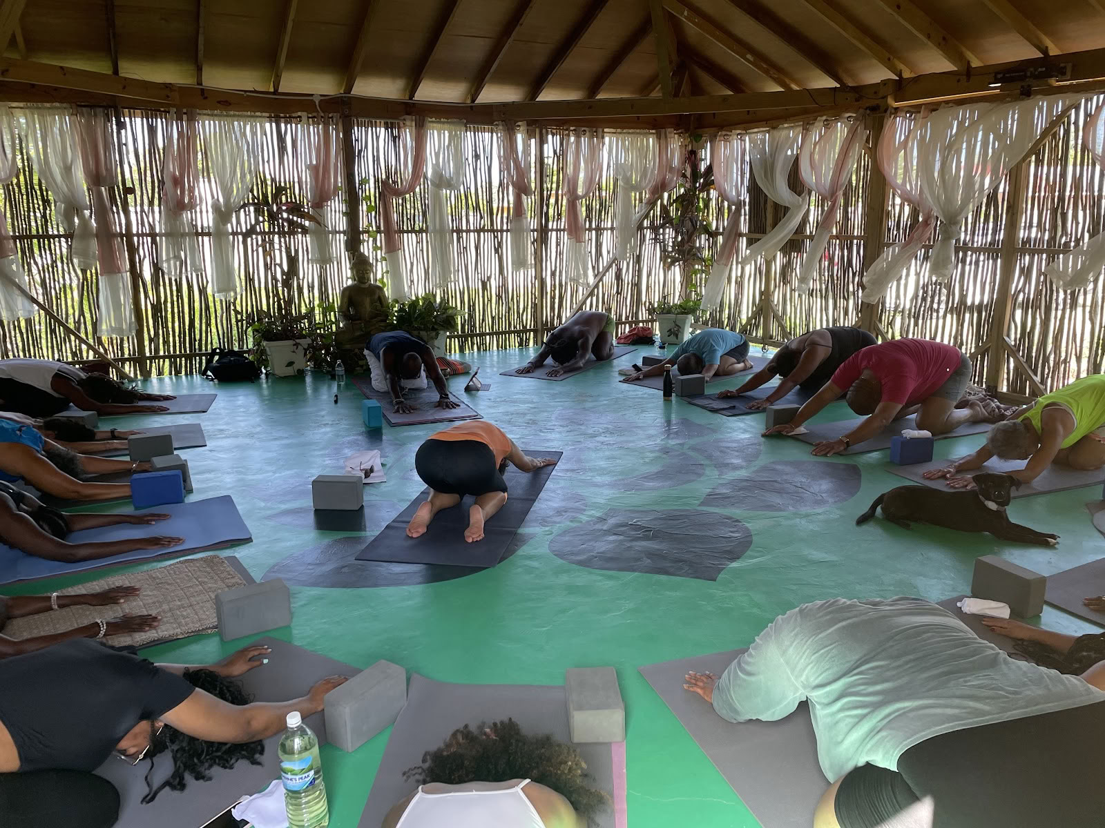 Wise Wellness - Yogacentrum / Day Spa en iTal Mama Vegan Café