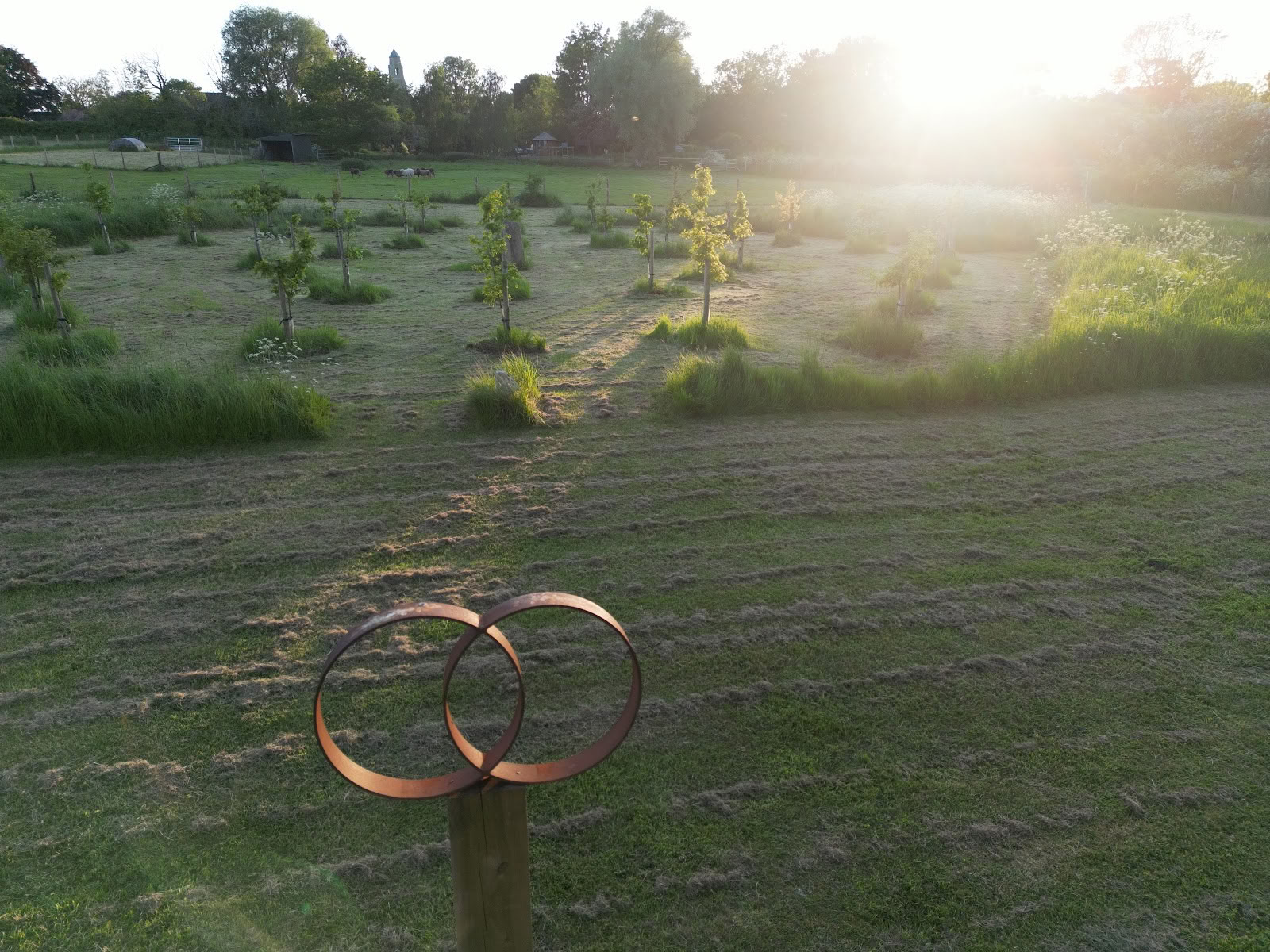 Veld van Genezing