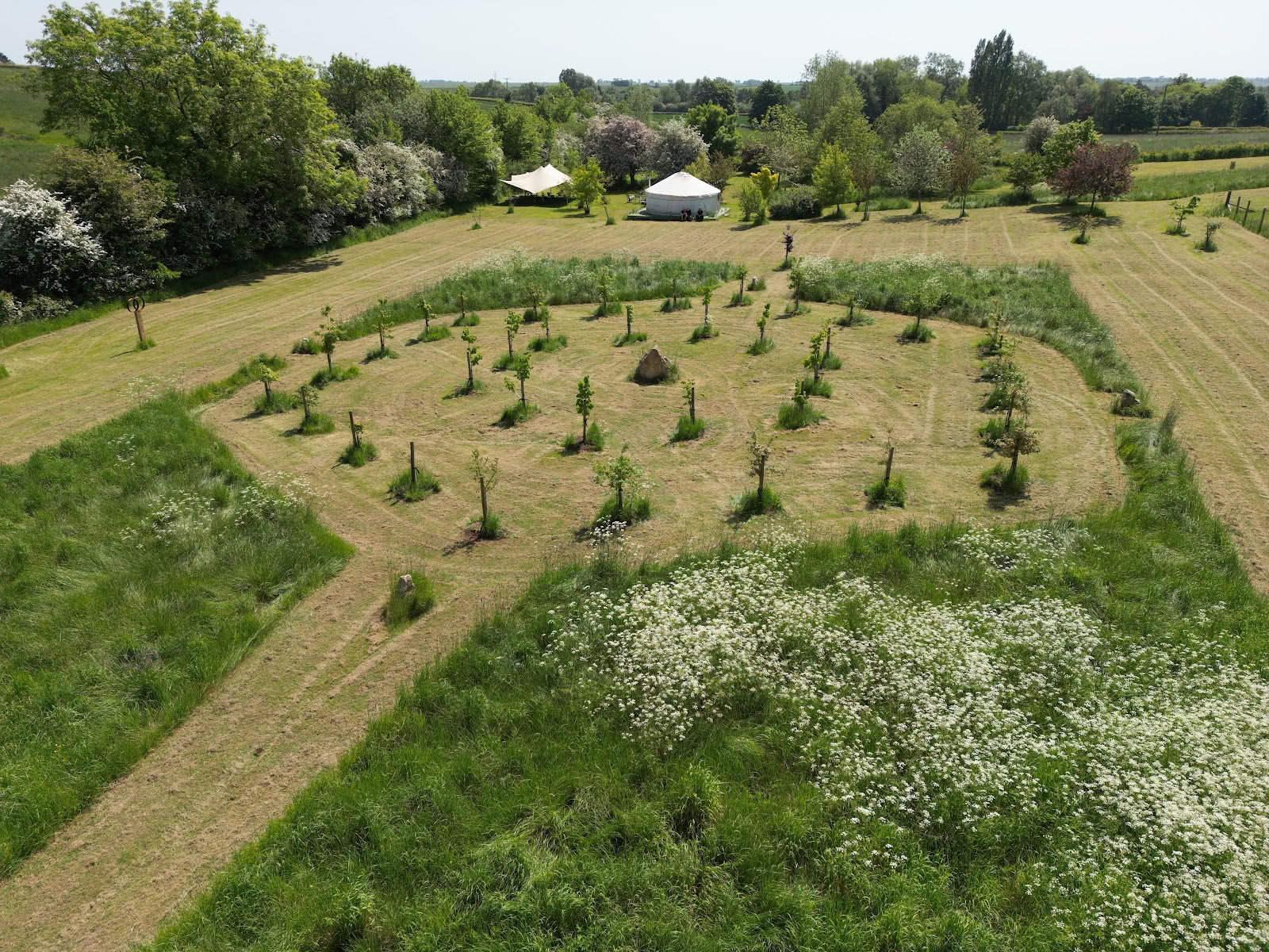 Veld van Genezing