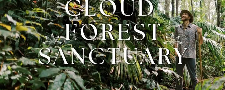 Kona Cloud Forest Heiligdom