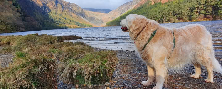 Glendalough-heiligdom