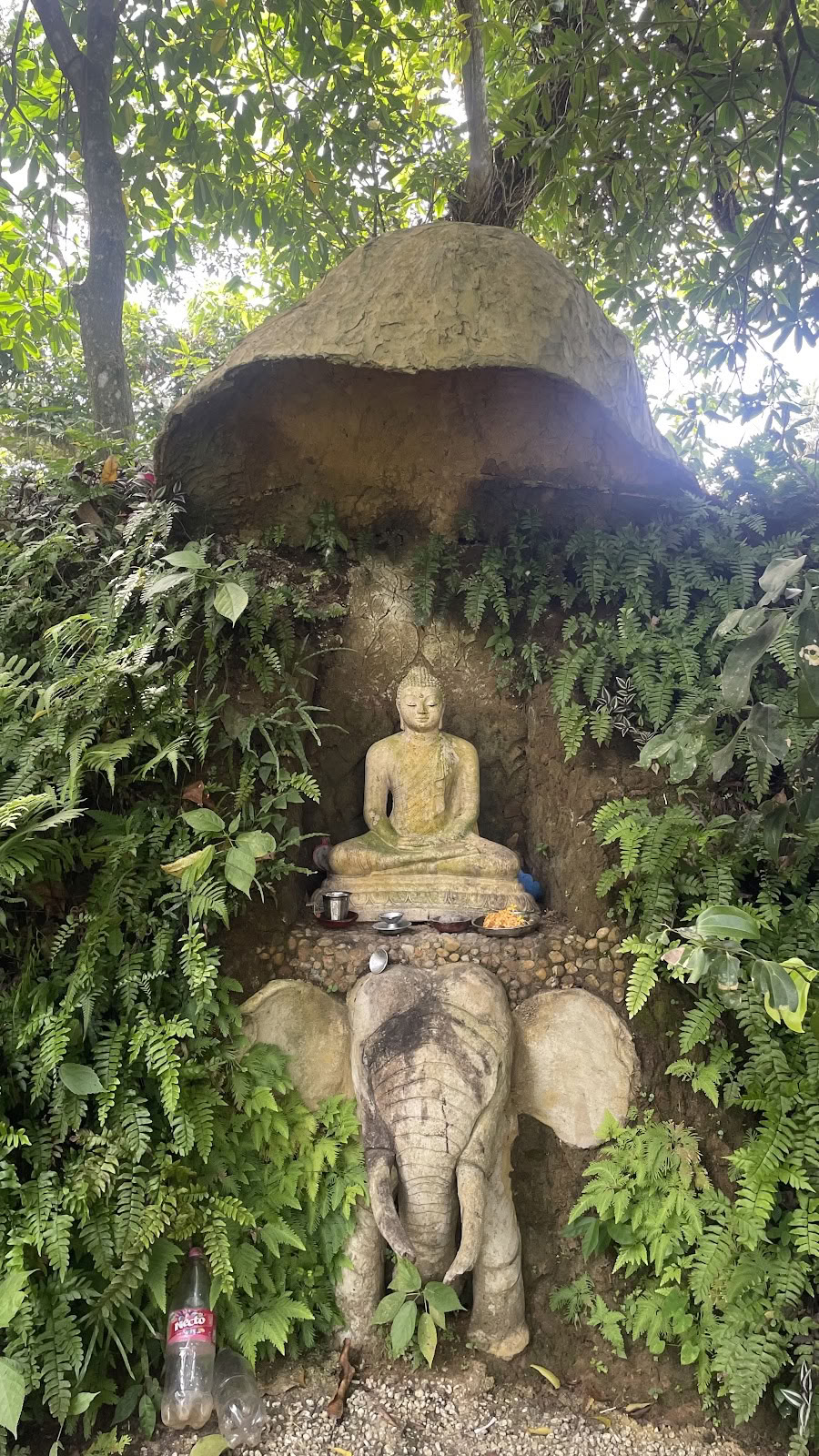 Zintuigen - Yogastudio & Yogadocentenopleiding