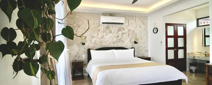 Canopysuite
