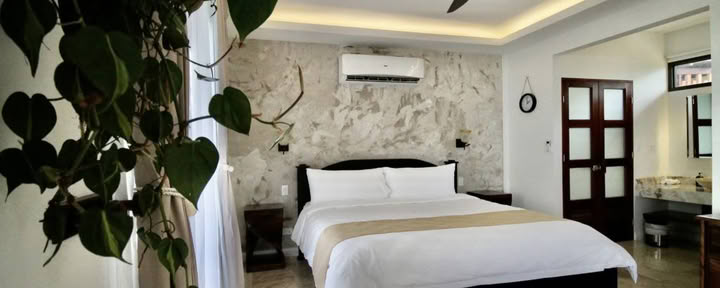 De Canopy Suite (King Size Bed)