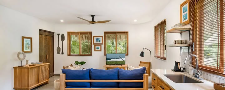 De Nestsuite