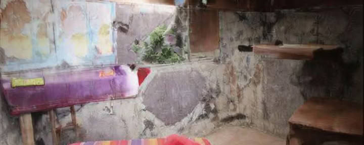 Tayra Rock Kamer