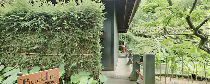 Boeddha Bungalow