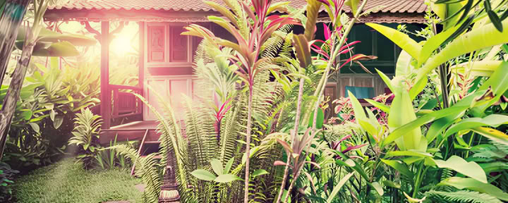 Familiesuite – LOTUS