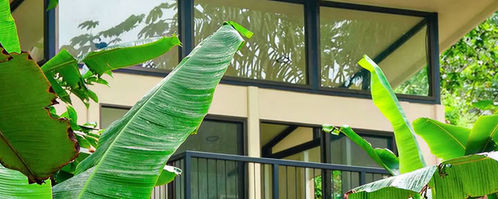 De Morpho Lodge