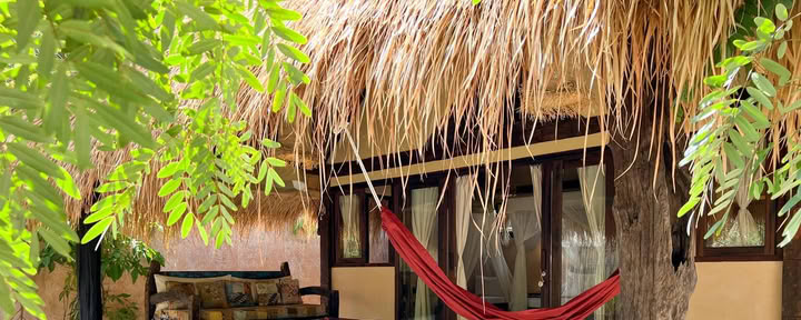 Junglehut 1