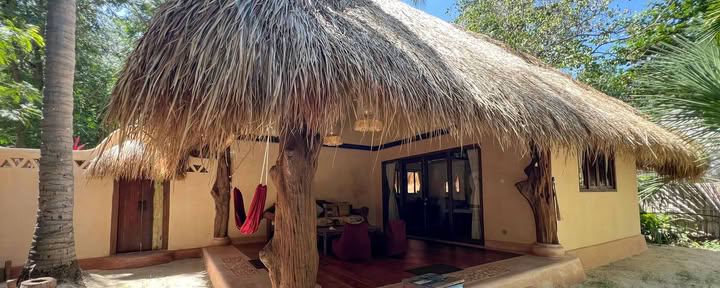 Junglehut 3