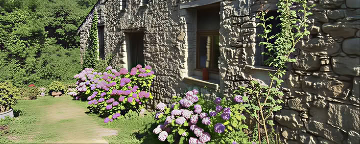 Zendo Appartement A