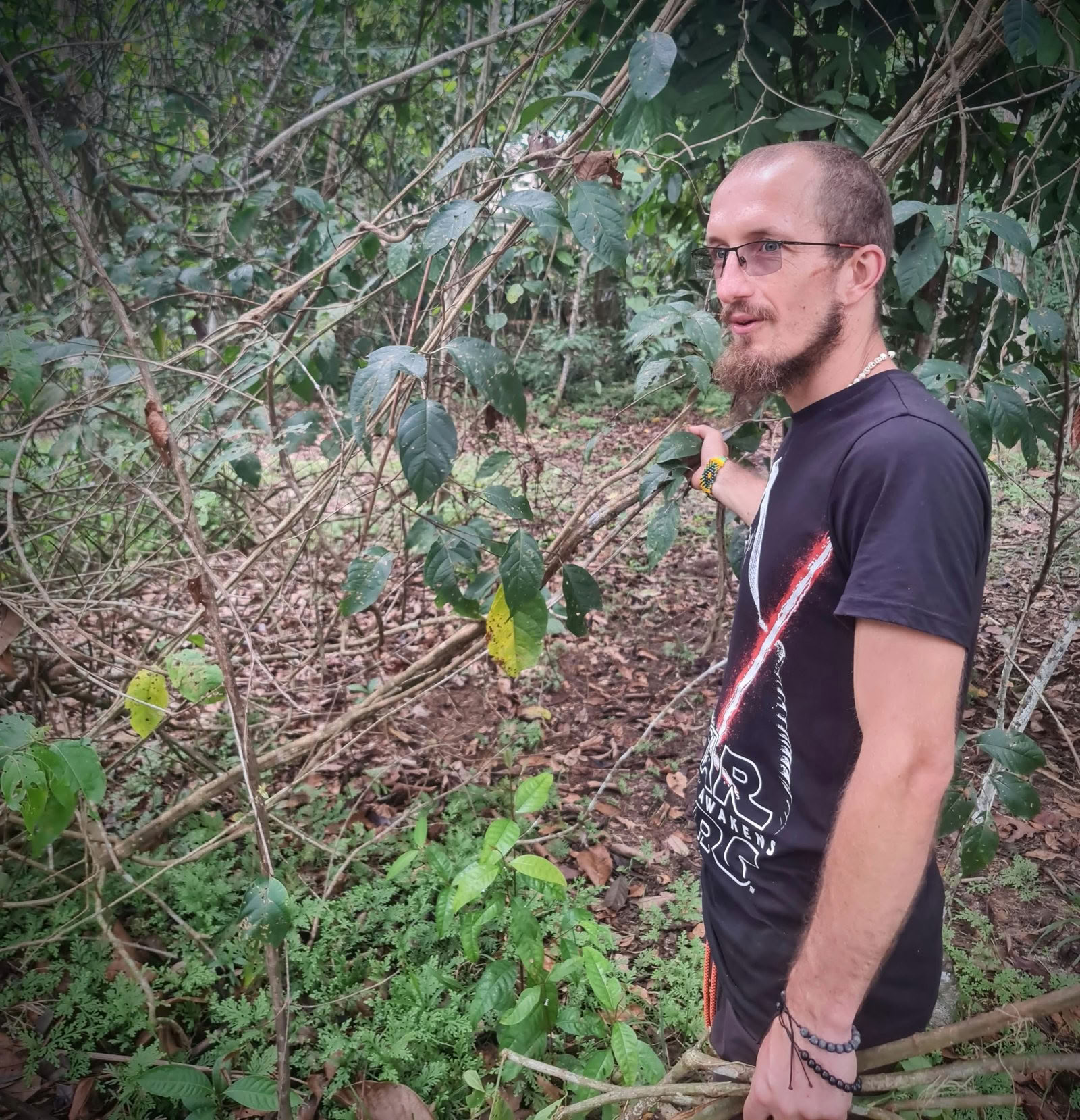 Tomek the Little Deer